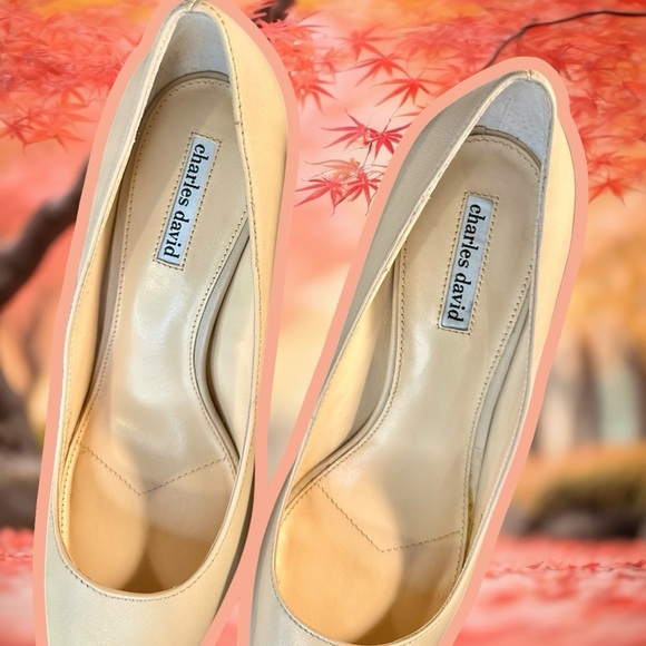 NWOT Charles David ‘Denise’ Pointed-Toe Pumps in Nude Leather Size 11 - Picture 13 of 16